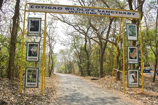 Cotigao Wildlife Sanctuary, places to visit near cabo de rama