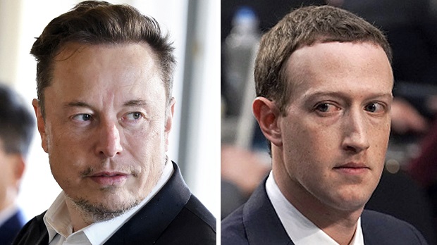 musk and zuckerberg cage fight