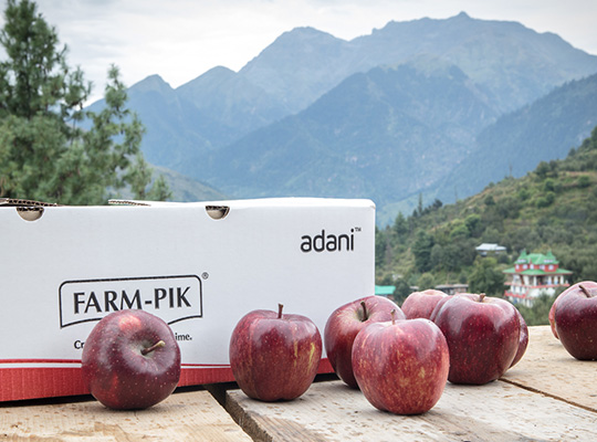 Fruits come under Adani Enterprise Ltd.