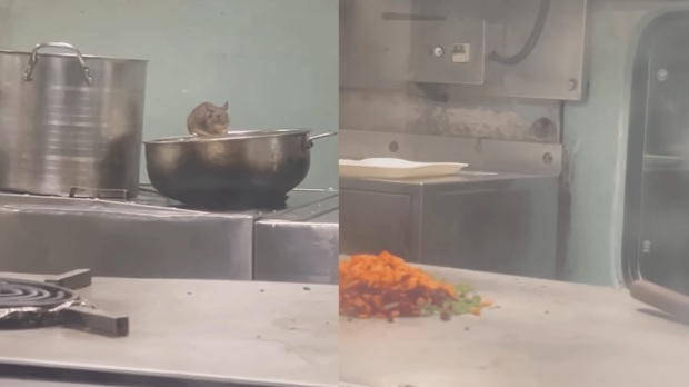 IRCTC Responds After Video Of Rats Eating Food In Pantry Car Of Train Goes Viral