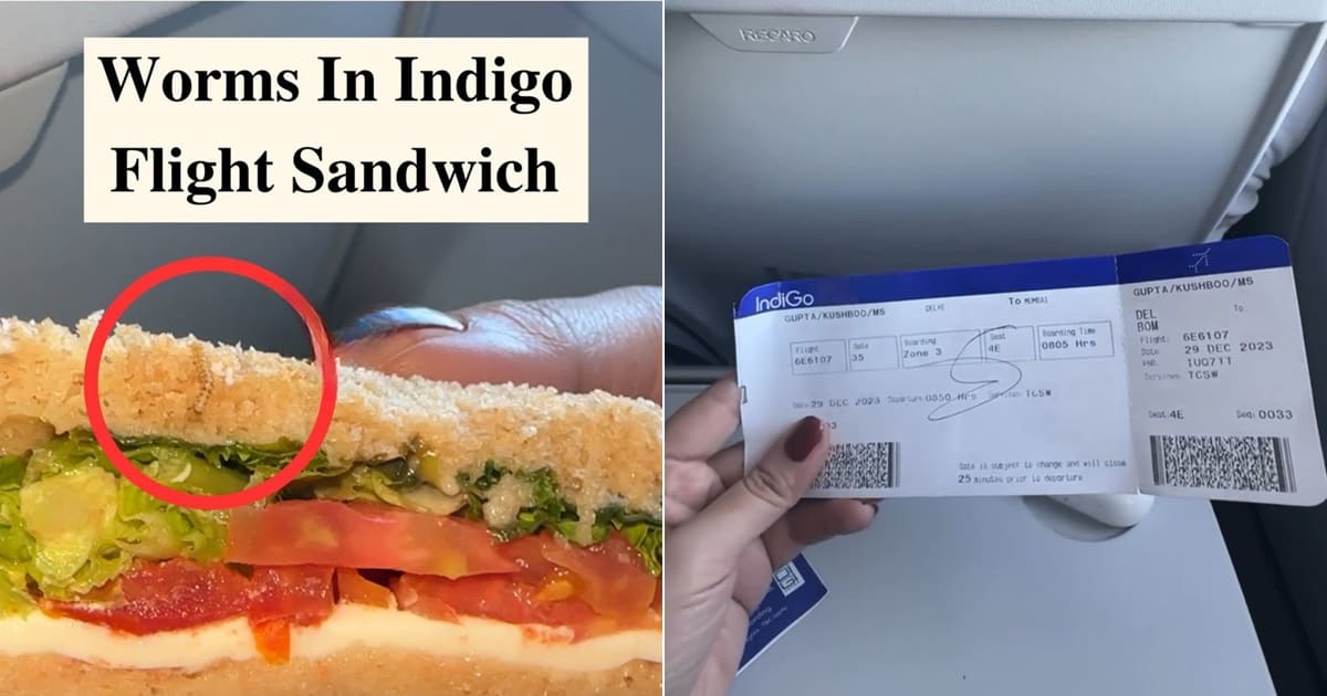 Worm in Indigo sandwich