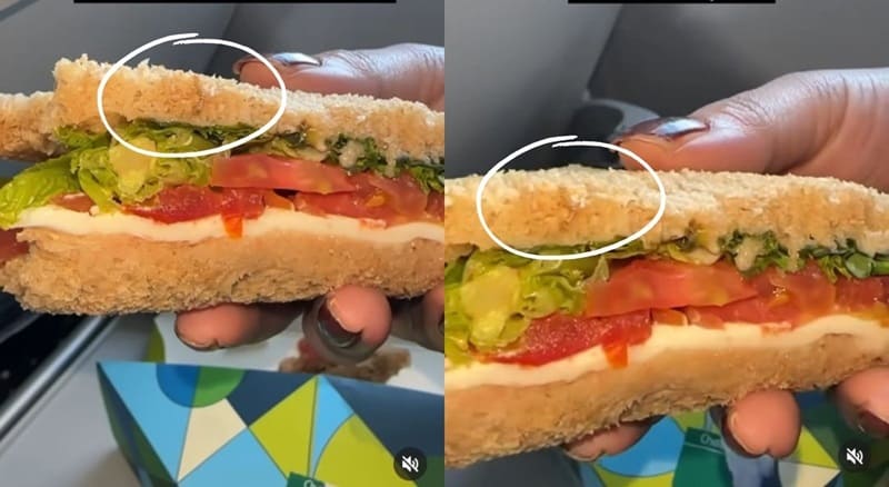 worm in indigo flight sandwich
