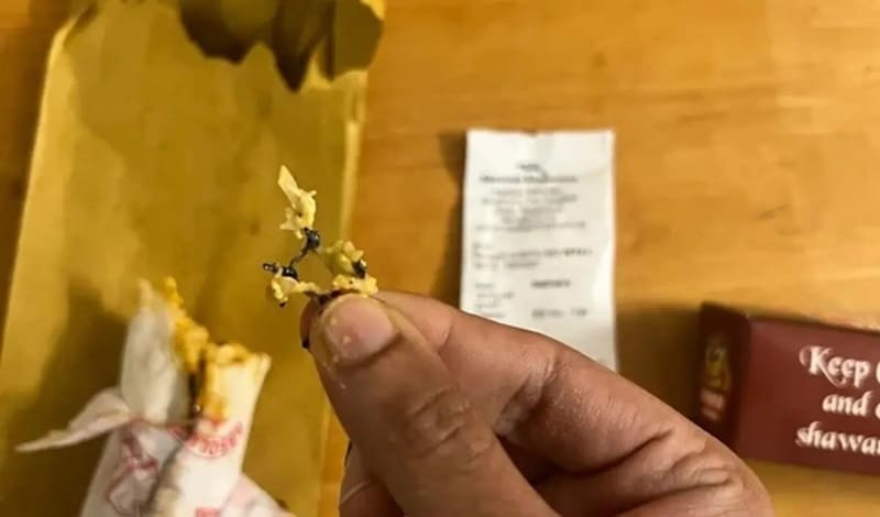 man finds metal piece in shawarma