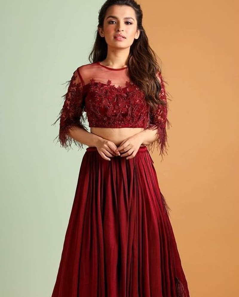Feathered-net-blouse-design
