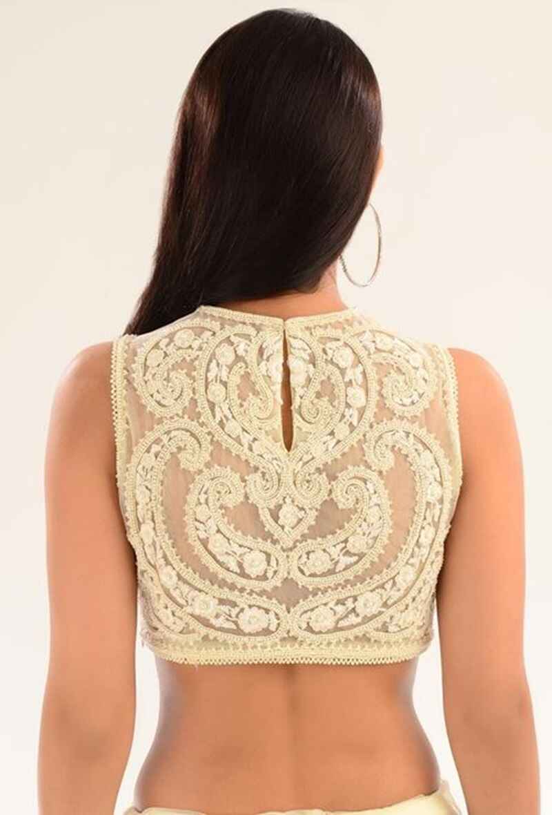 Chikan-embroidered-back-net-work-blouse-designs