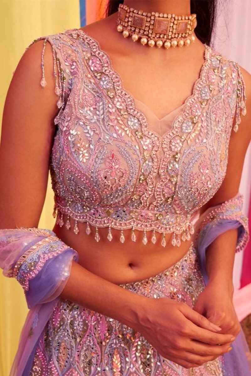 Embroidered-sleeveless-front-net-blouse-design