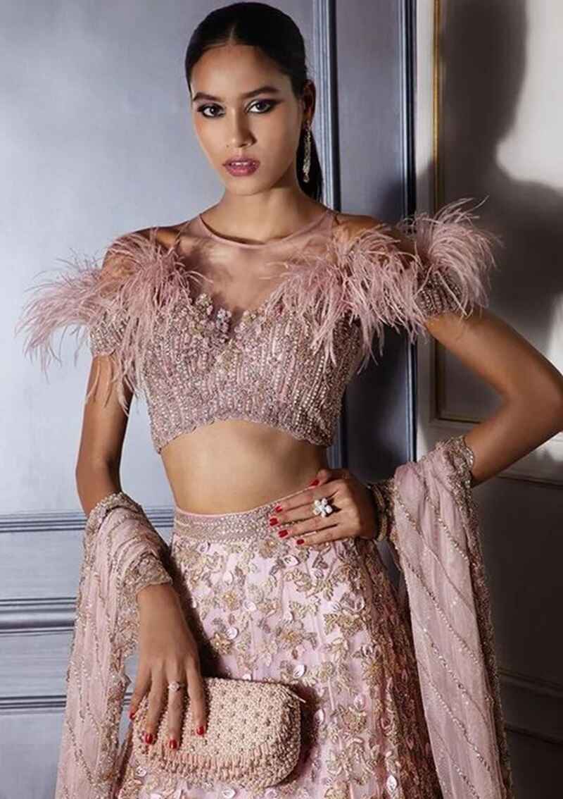 Feathered-net-blouse-design-front-and-back