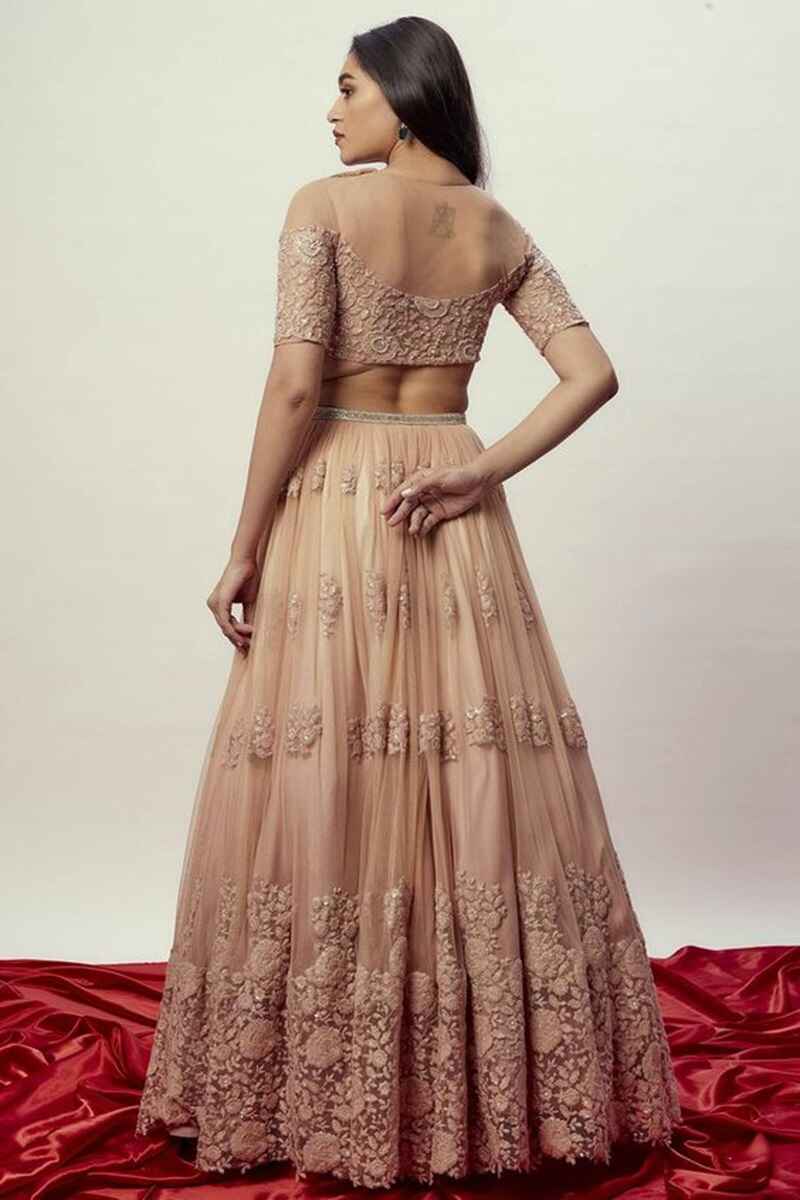 Illusion-neckline-back-neck-net-blouse-design