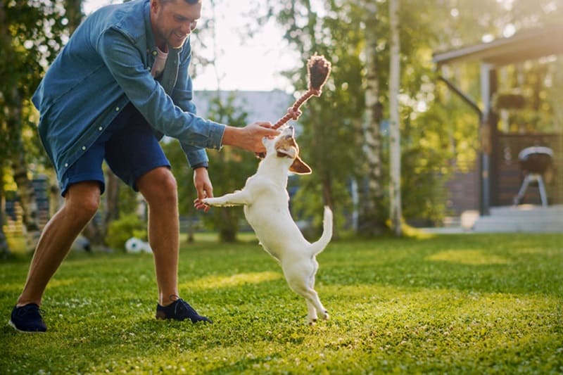 Physical Activity with dog