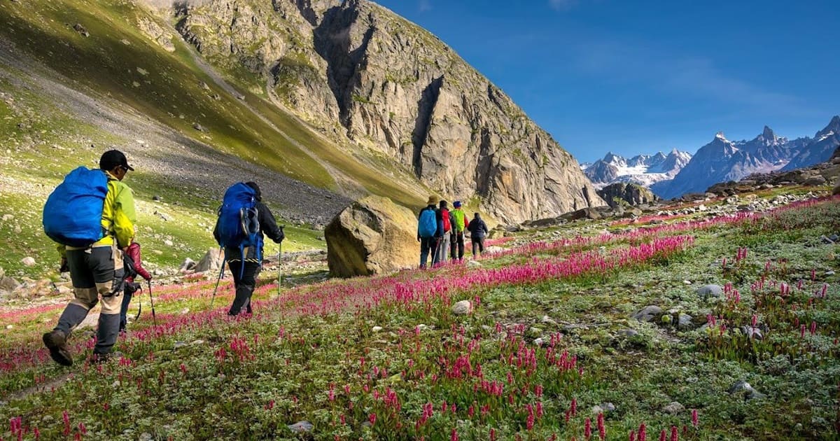 Scenic Mountain Walking Paths