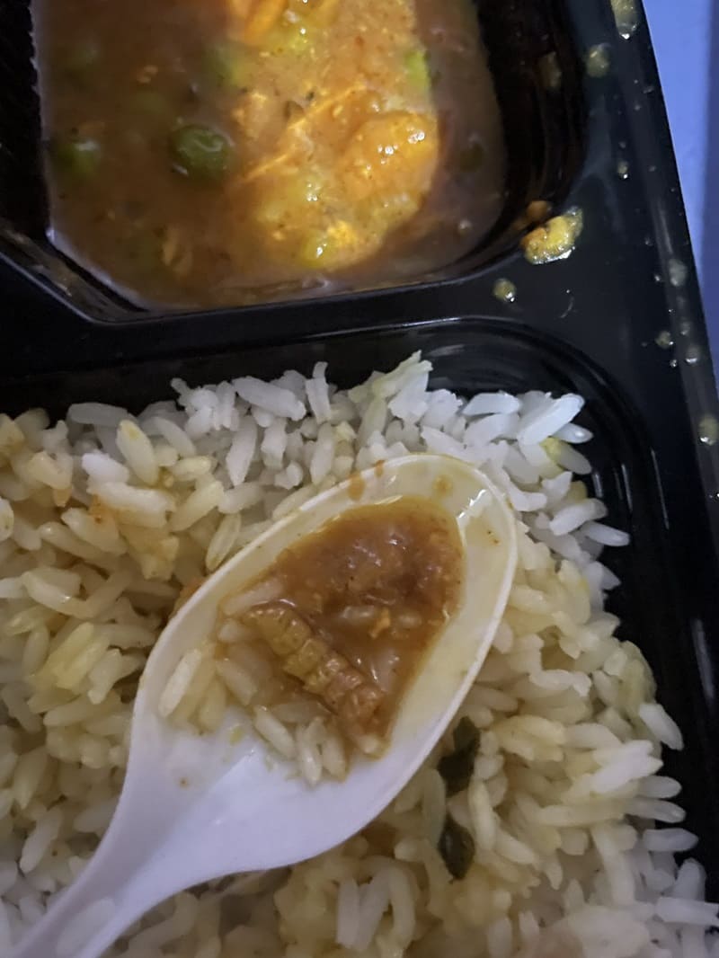 Insect in food - 15018 Kashi express