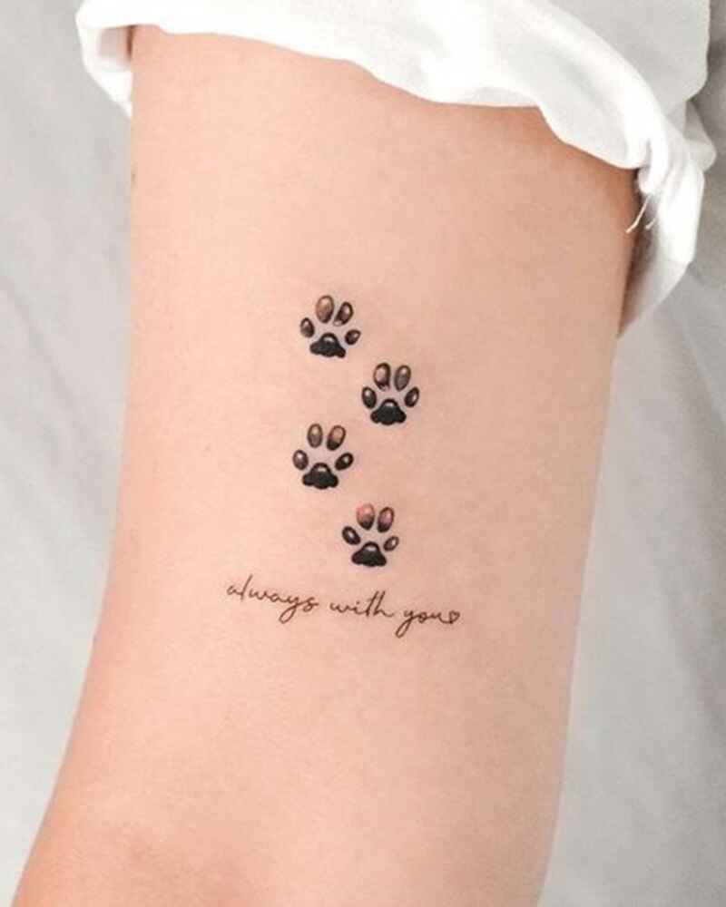 Paw-print-simple-tattoos-for-girls