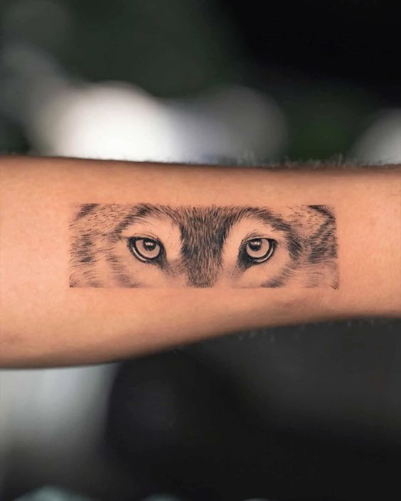 Wolf eye tattoo