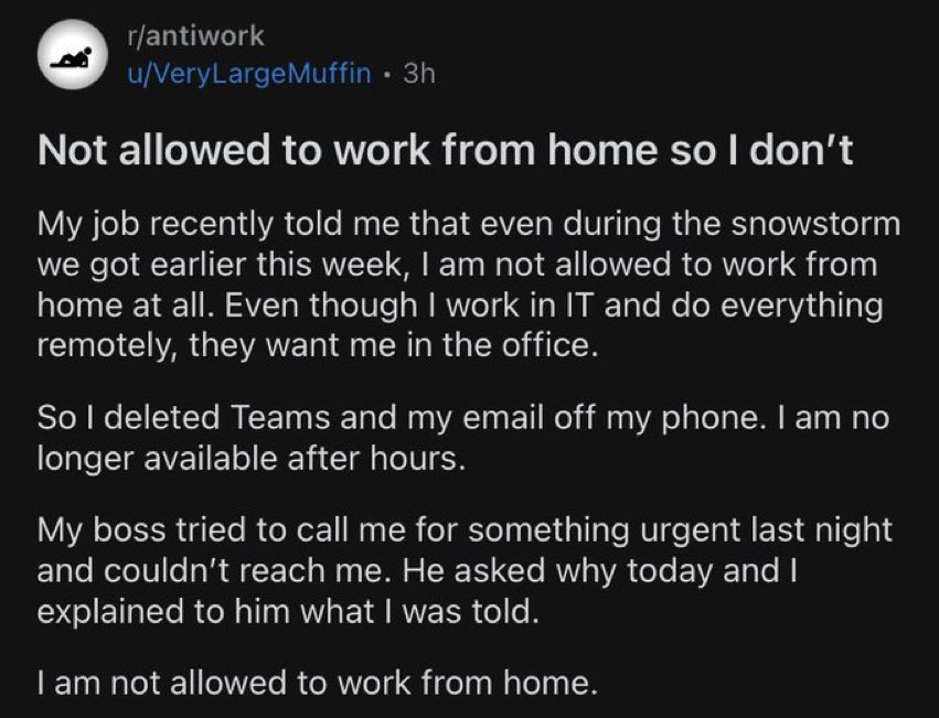no work from home