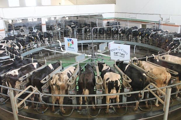 Hi-Tech Bhagyalaxmi Dairy (1)