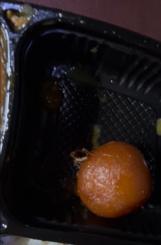 IRCTC -Live Cockroach in Veg Thali