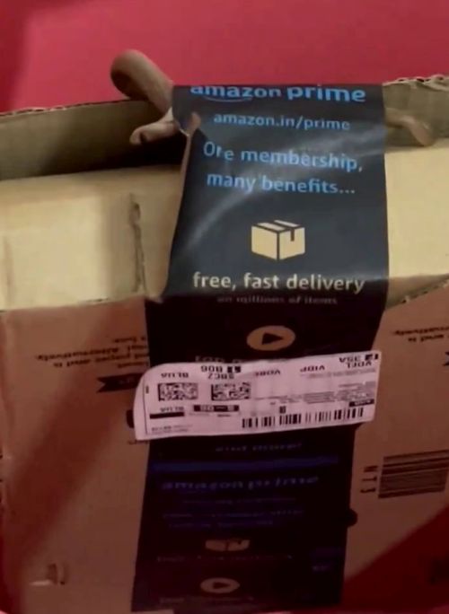 cobra in amazon parcel
