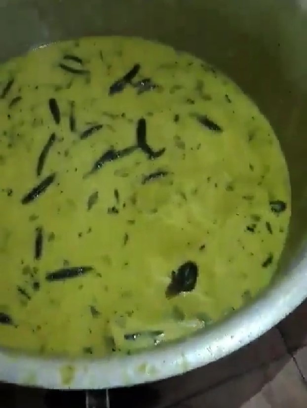 Rat in chutney