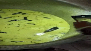 rat swimming in chutney