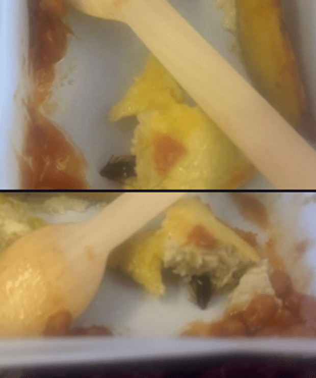 air-india-food