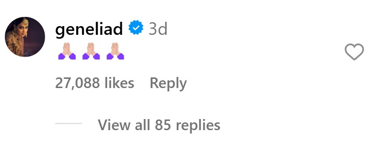 Genelia comment on Sonam jealous video