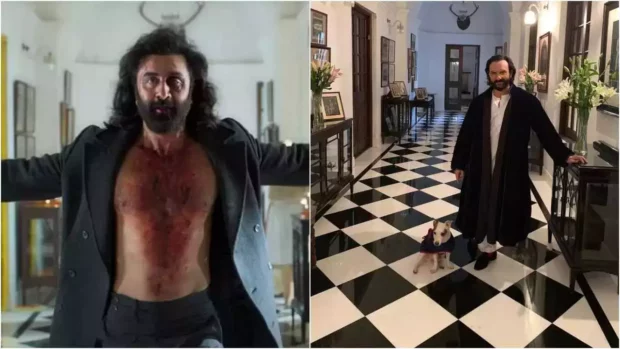 Animal movie shot in Pataudi Palace