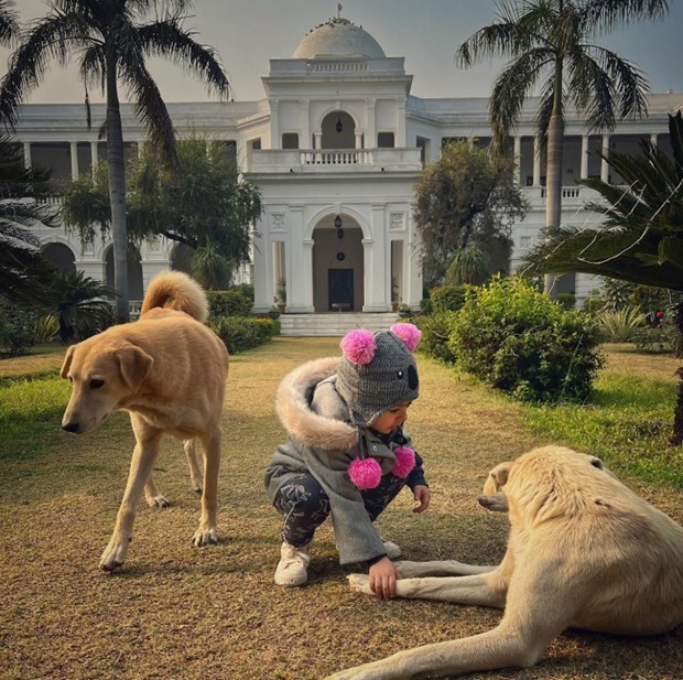 pataudi palace entrance