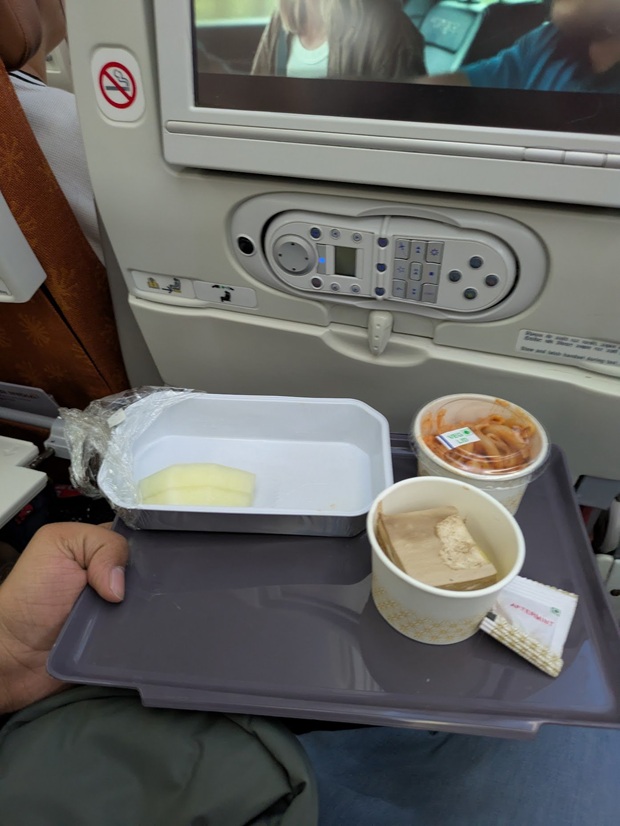air india malfunctioning tray table
