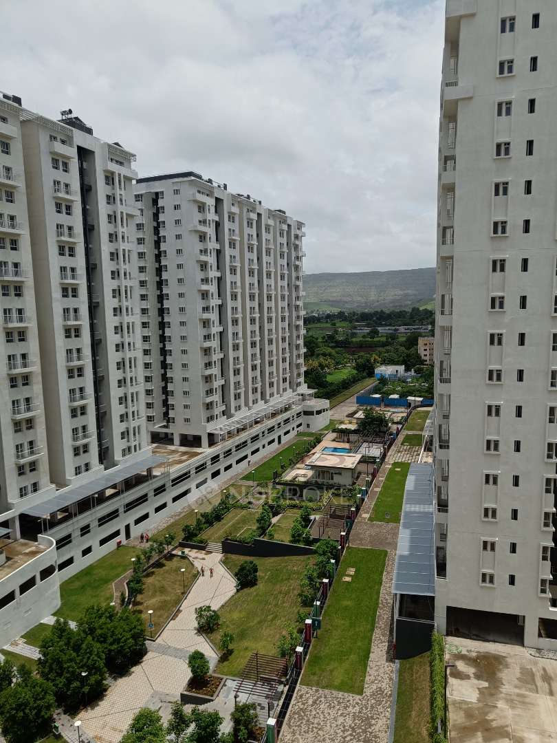 Apartments on rent