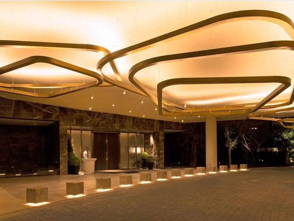 DLF camellias