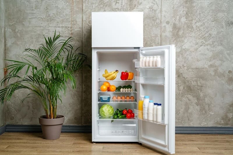 Fridge on rent