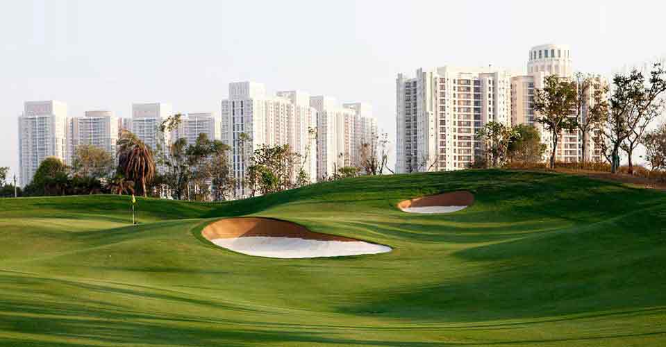 dlf camellias golf course