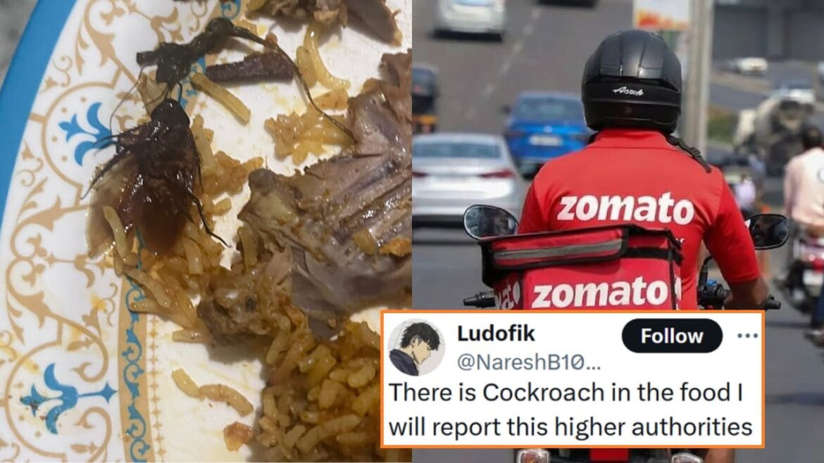Customer finds Cockroach in food zomato