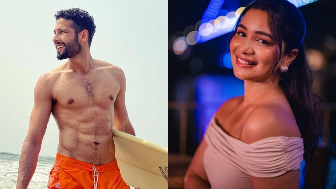 Siddhant Chaturvedi And Sara Tendulkar BREAK UP