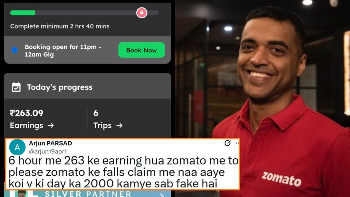 zomato earnings fake