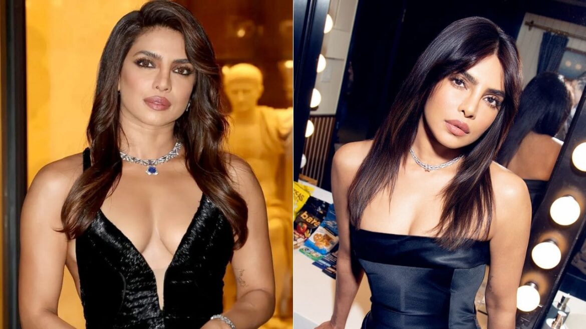 Priyanka Chopra Breaks Silence on 'Don't Look for a Virgin Wife