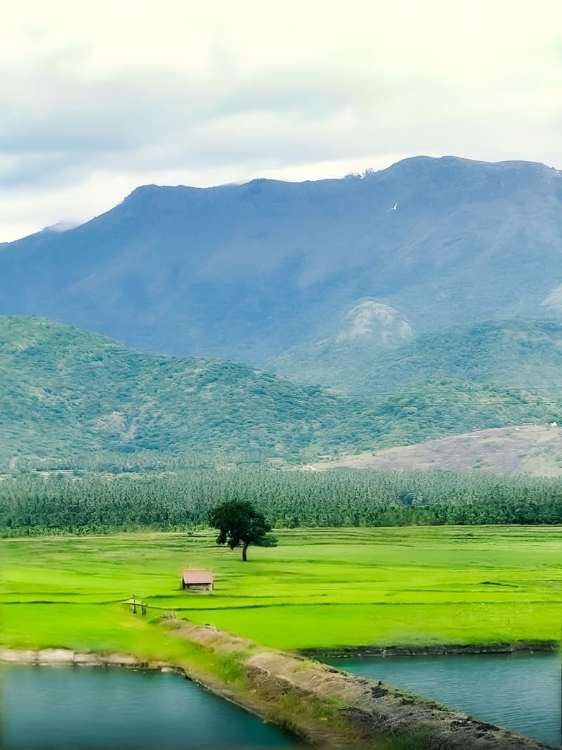 Cumbum Valley Theni