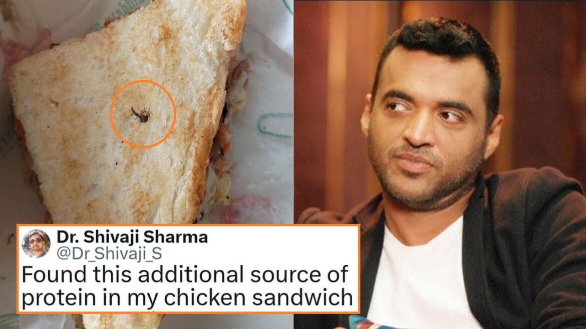 Zomato Responds After Customer Complaint About Insect In food