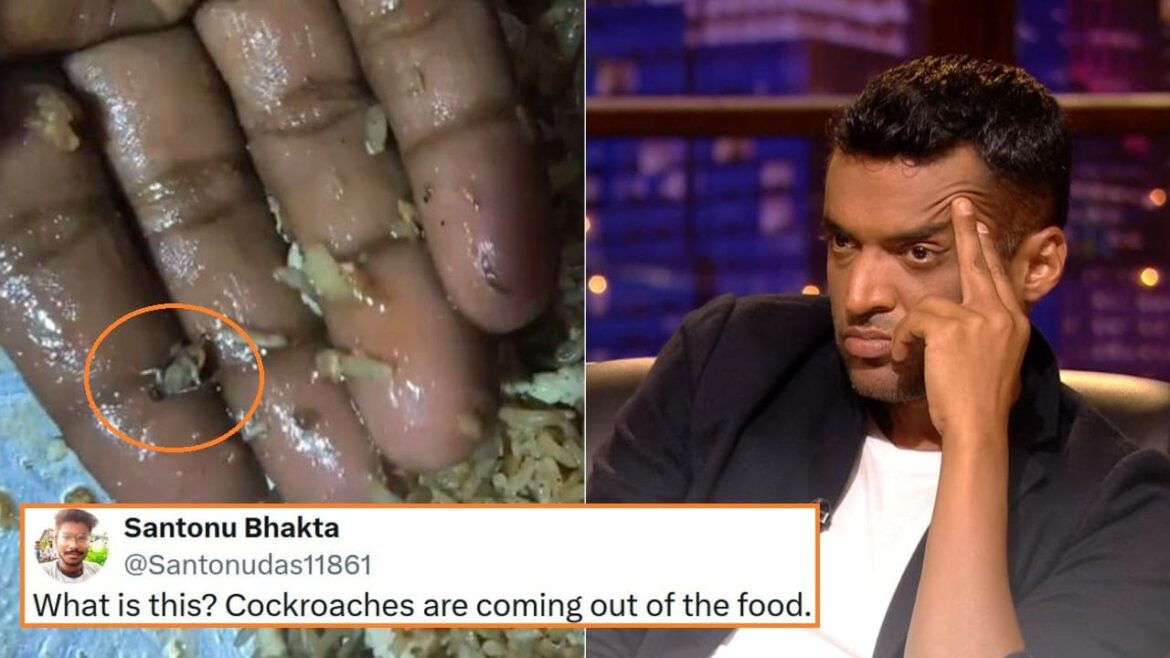 zomato Cockroaches In His Egg Chicken Fried Rice