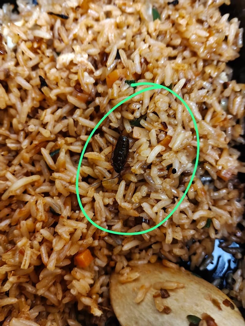 Insect in food zomato