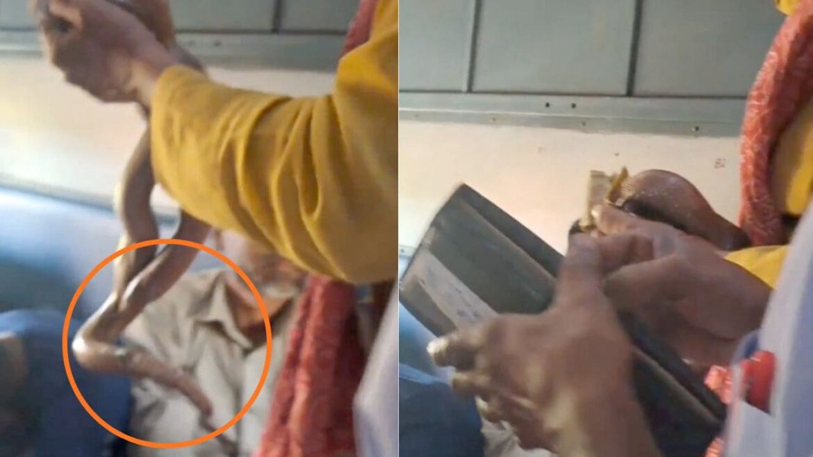 Man Carrying Snake And Asking For Money in train