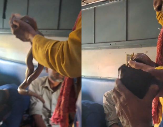 Video Shows Man Carrying Snake And Seeking Money From Train Passengers