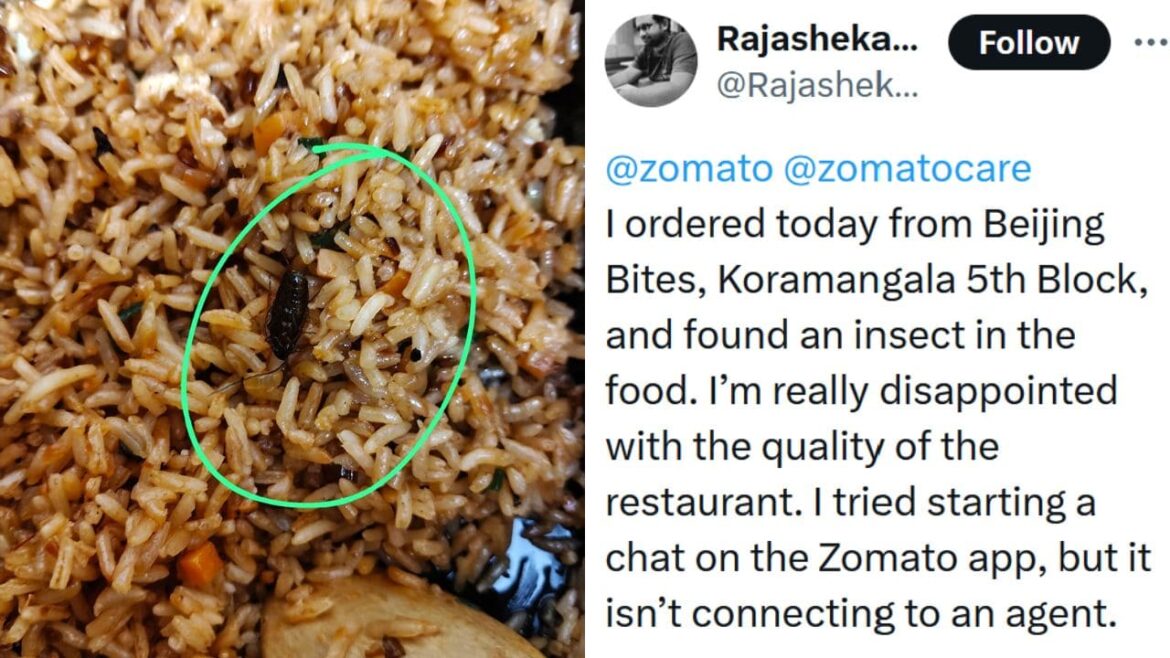 customer-complains-about-finding-insect-zomato