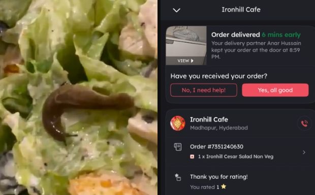 Customer Complaints About Finding Live Animal In Food