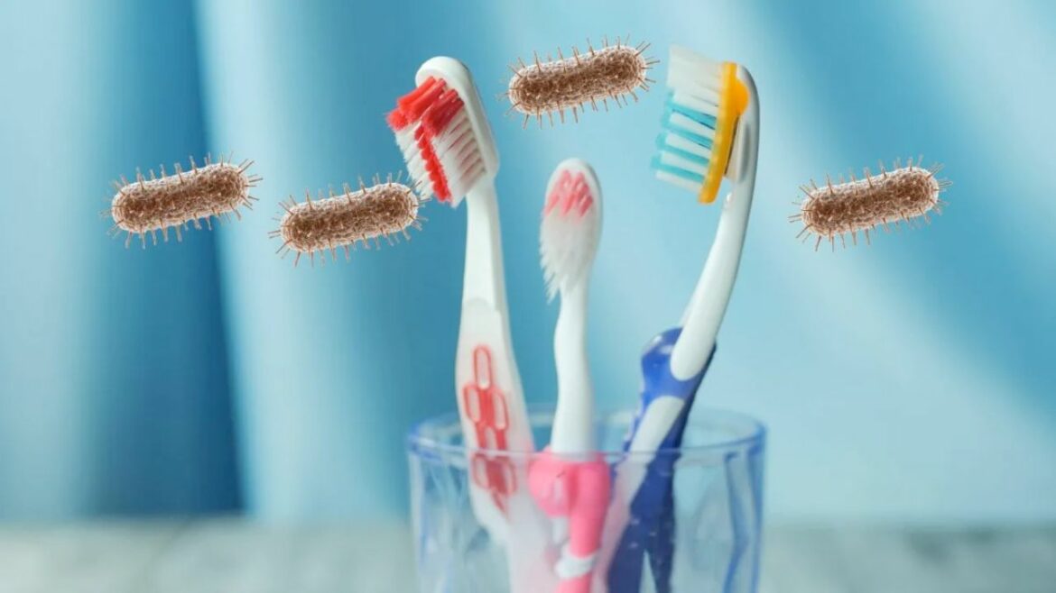 How Long Should You Use Your Toothbrush