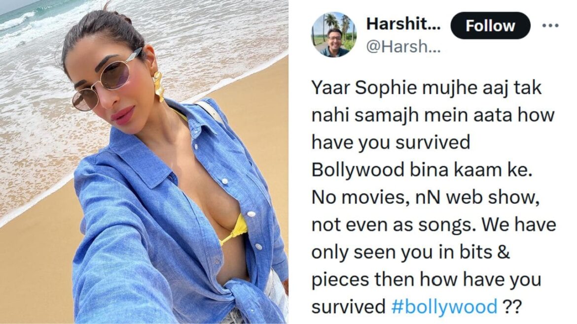Sophie Choudry reply to troll Who Questioned How She Survives In Bollywood Without Any Movies