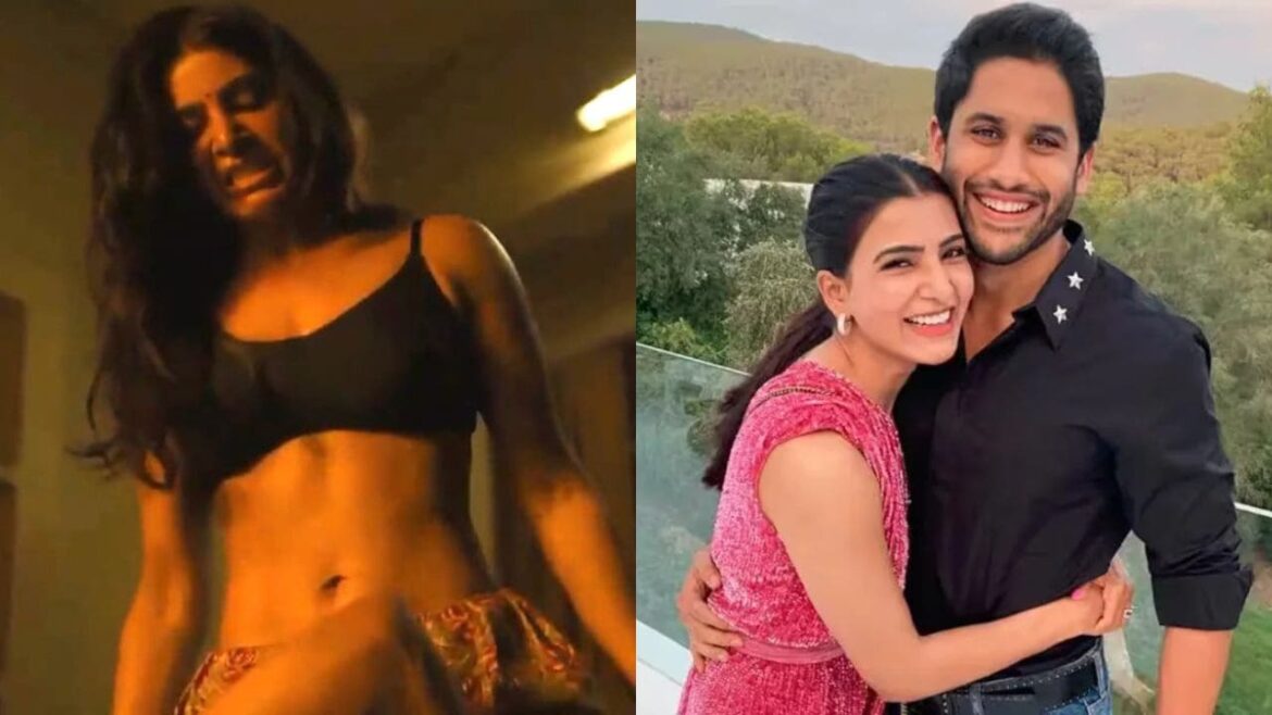 Samantha reason for divorce from Naga Chaitanya