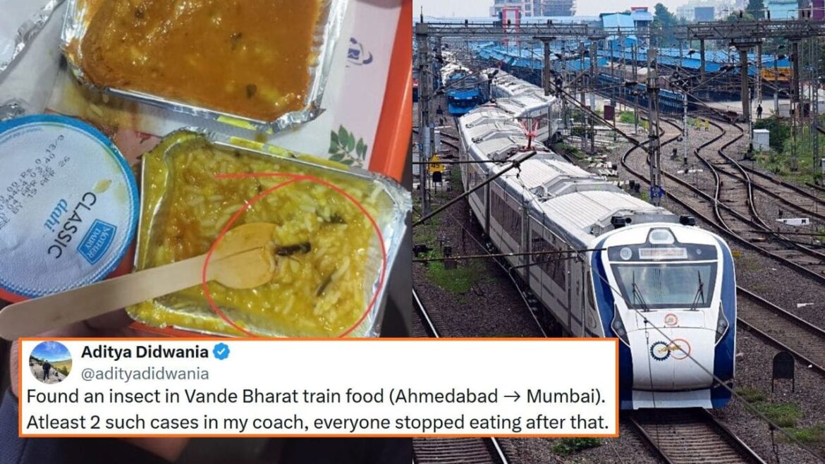 passenger-complains-about-finding-an-insect-in-food-on-vande-bharat-train
